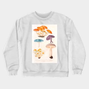 Mushroom species Crewneck Sweatshirt